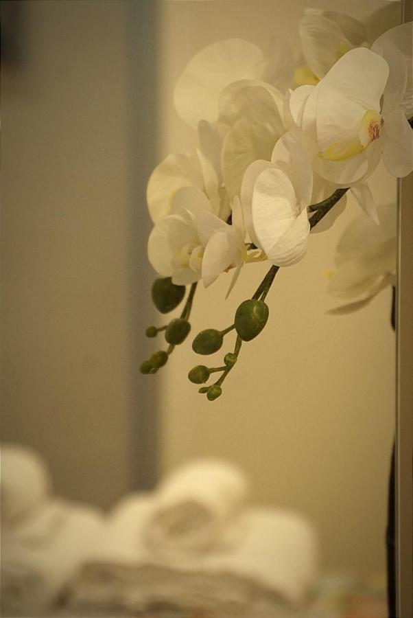 Apartamento Paula Valladolid Luaran gambar
