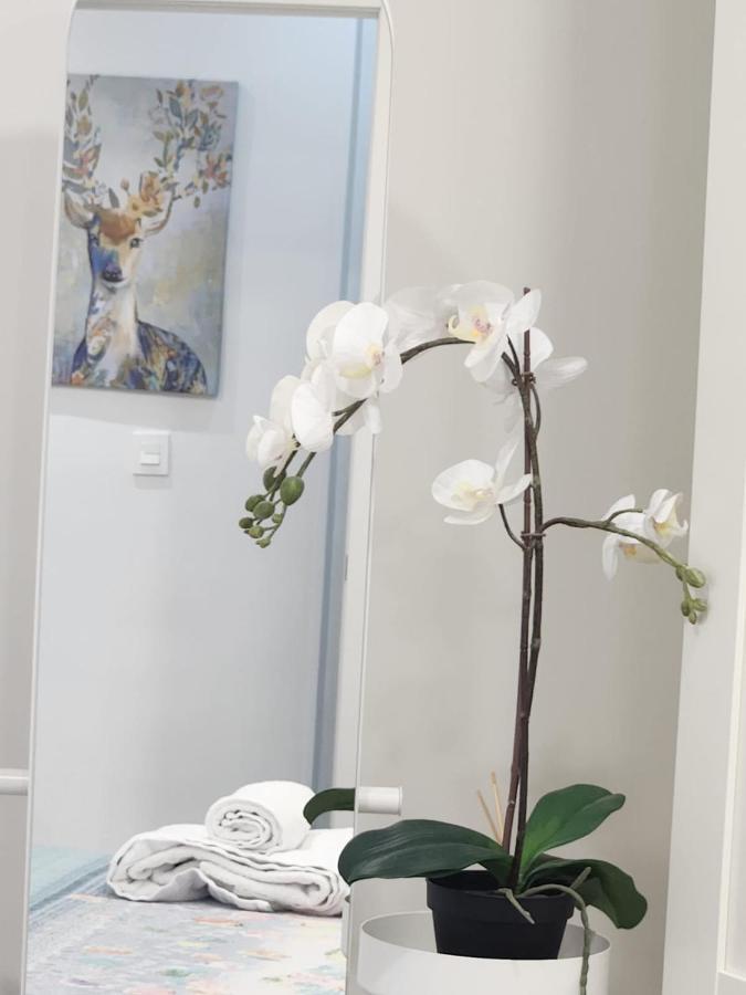 Apartamento Paula Valladolid Luaran gambar