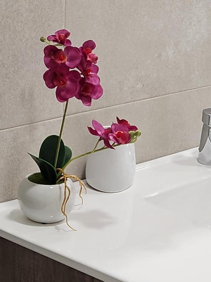 Apartamento Paula Valladolid Luaran gambar